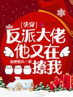 快穿反派大佬他总想诱拐我
