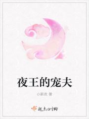 夜王的宠夫(女尊)txt