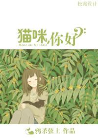 你好猫咪翻译