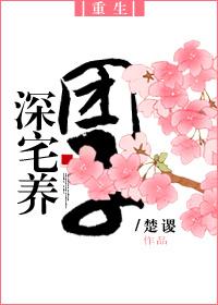 深宅大院—