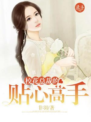 校花的贴身高手协议