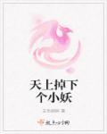 天上掉下一个小郎君免费阅读
