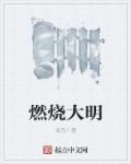 燃烧大地1-51全集剧情介绍