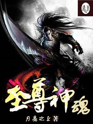 至尊神魂秦天