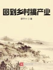 主角回到农村发展的